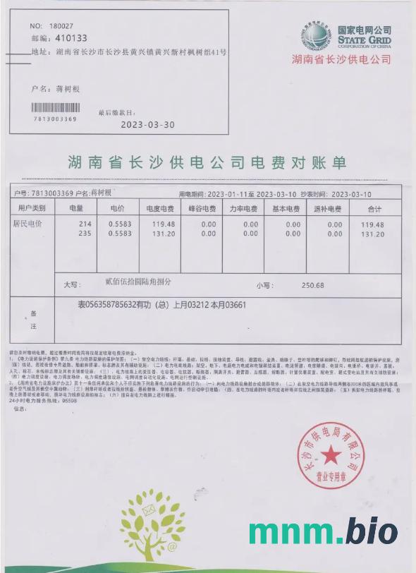 China State power Grid rachunek za media Word i szablon PDF